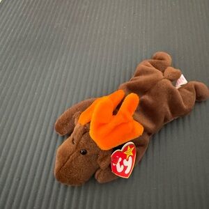 TY Beanie Baby Moose Plush Toy